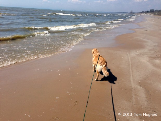 Flirt_At_The_Beach_02