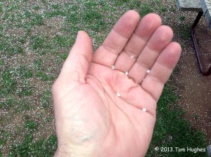 Graupel (aka snow pellets)