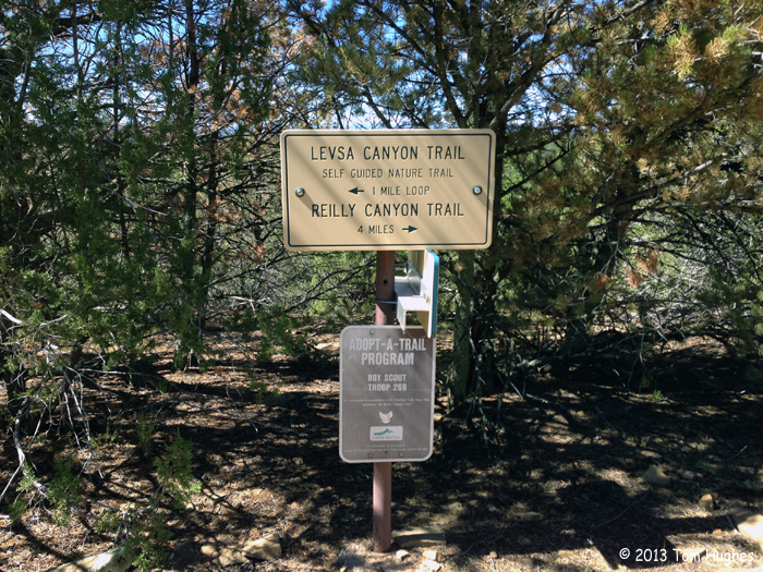 J. Torrents Lladó Trinidad Campins II J. Torrents Lladó Trinidad Campins II