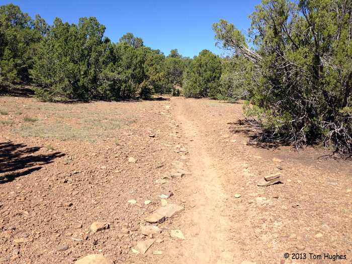 J. Torrents Lladó Trinidad Campins II J. Torrents Lladó Trinidad Campins II