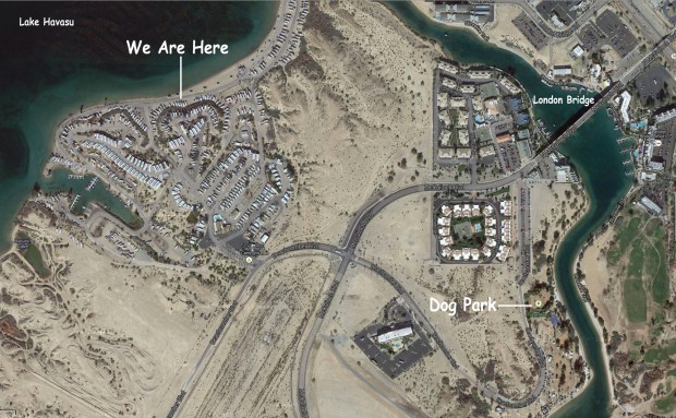 LakeHavasu_Dec12-10_07_Dog_Park_03