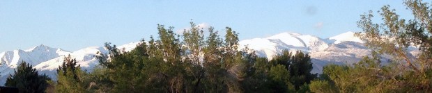 View Out Our Front Window