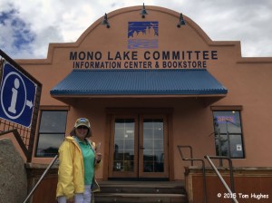 Mono Lake Bookstore