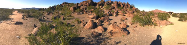 Painted Rock Petroglyphs